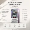 VAPOR STORM 風暴五代通用煙彈 2ml激爽配方｜3%尼古丁極致濃郁 適配4/5/6代主機 網路熱銷款