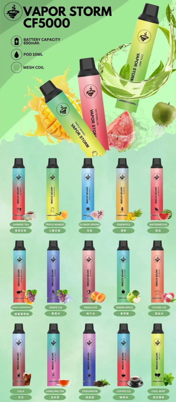 VAPOR STORM 風暴 5000口拋棄式電子煙｜Mesh芯強勁霧化 650mAh可充電 俐落金屬手感極致體驗